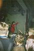 Фото с концерта Агаты Кристи в Нюрнберге